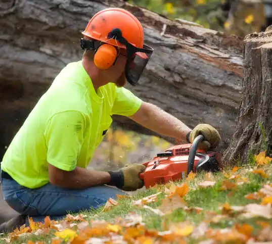 tree services Owenton